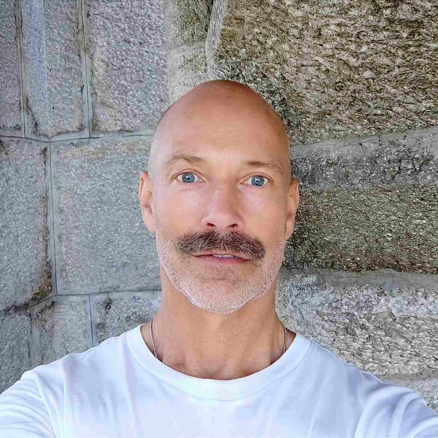 19 Beard Styles for Bald Men Over 40 That Actually Work With Your Face 4 allan mcbeal 1706716739